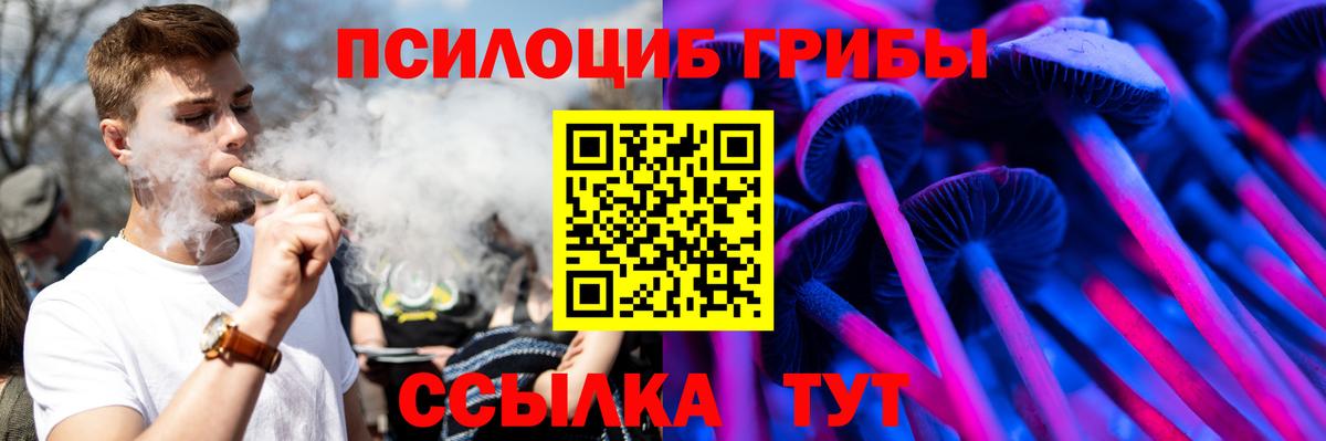 Псилоцибиновые грибы Psilocybine cubensis  Вход с VPN  Муравленко  Галлюциногенные грибы мухоморы 